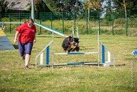 AGILITY COMPIEGNE - ELENKA -21 : 2016, 2ème degré, 6 Août 2016, COMPIEGNE, Catégorie D, ELENKA