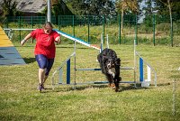 AGILITY COMPIEGNE - ELENKA -22 : 2016, 2ème degré, 6 Août 2016, COMPIEGNE, Catégorie D, ELENKA