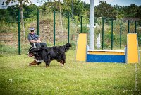 AGILITY COMPIEGNE - ELENKA -3 : 2016, 6 Août 2016, COMPIEGNE, Catégorie D, ELENKA, Open