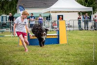 AGILITY COMPIEGNE - HEIDI -1 : 2016, 6 Août 2016, COMPIEGNE, Catégorie D, HEIDI, Open