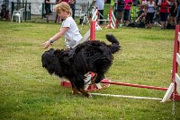 AGILITY COMPIEGNE - HEIDI -10 : 2016, 6 Août 2016, COMPIEGNE, Catégorie D, HEIDI, Open