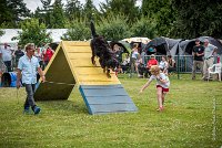 AGILITY COMPIEGNE - HEIDI -11 : 2016, 6 Août 2016, COMPIEGNE, Catégorie D, HEIDI, Open