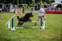 AGILITY COMPIEGNE - HEIDI -12 : 2016, 6 Août 2016, COMPIEGNE, Catégorie D, HEIDI, Open