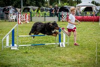 AGILITY COMPIEGNE - HEIDI -13 : 2016, 6 Août 2016, COMPIEGNE, Catégorie D, HEIDI, Open