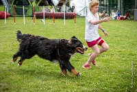 AGILITY COMPIEGNE - HEIDI -14 : 2016, 6 Août 2016, COMPIEGNE, Catégorie D, HEIDI, Open