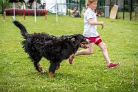 AGILITY COMPIEGNE - HEIDI -15 : 2016, 6 Août 2016, COMPIEGNE, Catégorie D, HEIDI, Open