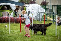 AGILITY COMPIEGNE - HEIDI -16 : 2016, 6 Août 2016, COMPIEGNE, Catégorie D, HEIDI, Open