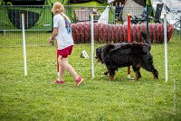 AGILITY COMPIEGNE - HEIDI -17 : 2016, 6 Août 2016, COMPIEGNE, Catégorie D, HEIDI, Open