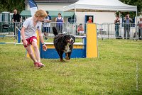 AGILITY COMPIEGNE - HEIDI -2 : 2016, 6 Août 2016, COMPIEGNE, Catégorie D, HEIDI, Open