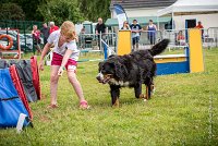 AGILITY COMPIEGNE - HEIDI -4 : 2016, 6 Août 2016, COMPIEGNE, Catégorie D, HEIDI, Open