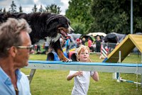 AGILITY COMPIEGNE - HEIDI -5 : 2016, 6 Août 2016, COMPIEGNE, Catégorie D, HEIDI, Open