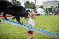 AGILITY COMPIEGNE - HEIDI -6 : 2016, 6 Août 2016, COMPIEGNE, Catégorie D, HEIDI, Open