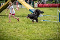 AGILITY COMPIEGNE - HEIDI -7 : 2016, 6 Août 2016, COMPIEGNE, Catégorie D, HEIDI, Open