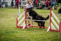 AGILITY COMPIEGNE - HEIDI -9 : 2016, 6 Août 2016, COMPIEGNE, Catégorie D, HEIDI, Open