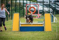 AGILITY COMPIEGNE - HOLLY -1 : 2016, 6 Août 2016, COMPIEGNE, Catégorie D, HOLLY, Open