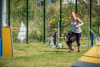 AGILITY COMPIEGNE - HOLLY -16 : 1er degré, 2016, 6 Août 2016, COMPIEGNE, Catégorie D, HOLLY