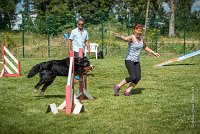 AGILITY COMPIEGNE - HOLLY -22 : 1er degré, 2016, 6 Août 2016, COMPIEGNE, Catégorie D, HOLLY