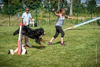 AGILITY COMPIEGNE - HOLLY -23 : 1er degré, 2016, 6 Août 2016, COMPIEGNE, Catégorie D, HOLLY