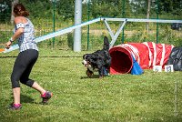 AGILITY COMPIEGNE - HOLLY -24 : 1er degré, 2016, 6 Août 2016, COMPIEGNE, Catégorie D, HOLLY