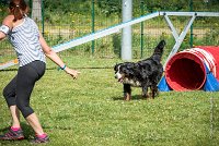 AGILITY COMPIEGNE - HOLLY -25 : 1er degré, 2016, 6 Août 2016, COMPIEGNE, Catégorie D, HOLLY