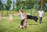 AGILITY COMPIEGNE - HOLLY -26 : 1er degré, 2016, 6 Août 2016, COMPIEGNE, Catégorie D, HOLLY