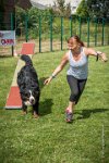 AGILITY COMPIEGNE - HOLLY -28 : 1er degré, 2016, 6 Août 2016, COMPIEGNE, Catégorie D, HOLLY