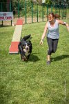 AGILITY COMPIEGNE - HOLLY -29 : 1er degré, 2016, 6 Août 2016, COMPIEGNE, Catégorie D, HOLLY