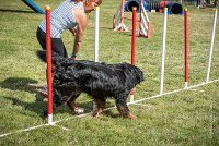 AGILITY COMPIEGNE - HOLLY -30 : 1er degré, 2016, 6 Août 2016, COMPIEGNE, Catégorie D, HOLLY