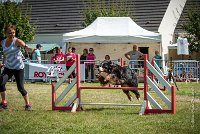 AGILITY COMPIEGNE - HOLLY -31 : 1er degré, 2016, 6 Août 2016, COMPIEGNE, Catégorie D, HOLLY