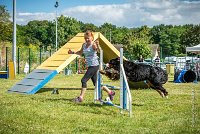 AGILITY COMPIEGNE - HOLLY -33 : 1er degré, 2016, 6 Août 2016, COMPIEGNE, Catégorie D, HOLLY