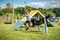 AGILITY COMPIEGNE - HOLLY -34 : 1er degré, 2016, 6 Août 2016, COMPIEGNE, Catégorie D, HOLLY