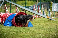 AGILITY COMPIEGNE - HOLLY -35 : 1er degré, 2016, 6 Août 2016, COMPIEGNE, Catégorie D, HOLLY