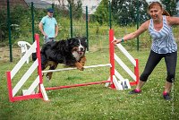 AGILITY COMPIEGNE - HOLLY -5 : 2016, 6 Août 2016, COMPIEGNE, Catégorie D, HOLLY, Open