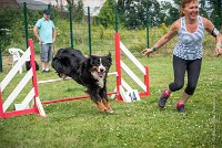 AGILITY COMPIEGNE - HOLLY -6 : 2016, 6 Août 2016, COMPIEGNE, Catégorie D, HOLLY, Open