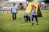 AGILITY COMPIEGNE - HOLLY -7 : 2016, 6 Août 2016, COMPIEGNE, Catégorie D, HOLLY, Open