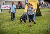 AGILITY COMPIEGNE - HOLLY -8 : 2016, 6 Août 2016, COMPIEGNE, Catégorie D, HOLLY, Open