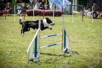 AGILITY COMPIEGNE - CAT C - JB -10 : 2016, 6 Août 2016, COMPIEGNE, Catégorie C, JB, Open