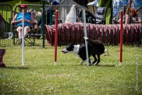 AGILITY COMPIEGNE - CAT C - JB -11 : 2016, 6 Août 2016, COMPIEGNE, Catégorie C, JB, Open