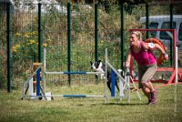 AGILITY COMPIEGNE - CAT C - JB -12 : 1er degré, 2016, 6 Août 2016, COMPIEGNE, Catégorie C, JB