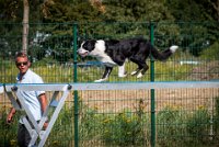 AGILITY COMPIEGNE - CAT C - JB -17 : 1er degré, 2016, 6 Août 2016, COMPIEGNE, Catégorie C, JB