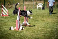 AGILITY COMPIEGNE - CAT C - JB -19 : 1er degré, 2016, 6 Août 2016, COMPIEGNE, Catégorie C, JB