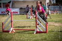 AGILITY COMPIEGNE - CAT C - JB -23 : 1er degré, 2016, 6 Août 2016, COMPIEGNE, Catégorie C, JB