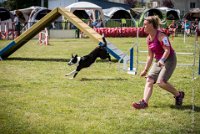 AGILITY COMPIEGNE - CAT C - JB -6 : 2016, 6 Août 2016, COMPIEGNE, Catégorie C, JB, Open