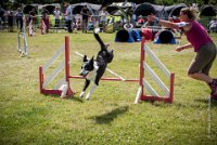 AGILITY COMPIEGNE - CAT C - JB -9 : 2016, 6 Août 2016, COMPIEGNE, Catégorie C, JB, Open