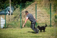 AGILITY COMPIEGNE - CAT B - LEWIS -17 : 2016, 2ème degré, 6 Août 2016, AGILITY COMPIEGNE, COMPIEGNE, Catégorie B, LEWIS