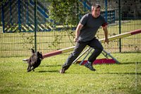 AGILITY COMPIEGNE - CAT B - LEWIS -19 : 2016, 2ème degré, 6 Août 2016, AGILITY COMPIEGNE, COMPIEGNE, Catégorie B, LEWIS