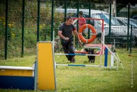 AGILITY COMPIEGNE - CAT B - LEWIS -2 : 2016, 6 Août 2016, AGILITY COMPIEGNE, COMPIEGNE, Catégorie B, LEWIS, Open