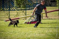 AGILITY COMPIEGNE - CAT B - LEWIS -20 : 2016, 2ème degré, 6 Août 2016, AGILITY COMPIEGNE, COMPIEGNE, Catégorie B, LEWIS