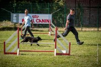 AGILITY COMPIEGNE - CAT B - LEWIS -21 : 2016, 2ème degré, 6 Août 2016, AGILITY COMPIEGNE, COMPIEGNE, Catégorie B, LEWIS