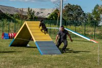 AGILITY COMPIEGNE - CAT B - LEWIS -25 : 2016, 2ème degré, 6 Août 2016, AGILITY COMPIEGNE, COMPIEGNE, Catégorie B, LEWIS